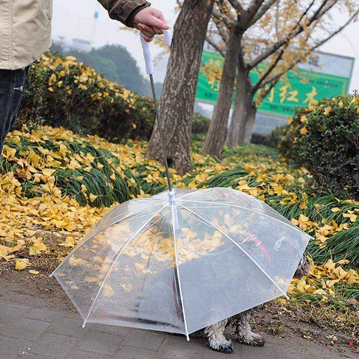 Pet Umbrella with Leash Attachment Keep Your Dog Dry in Style - Image 13