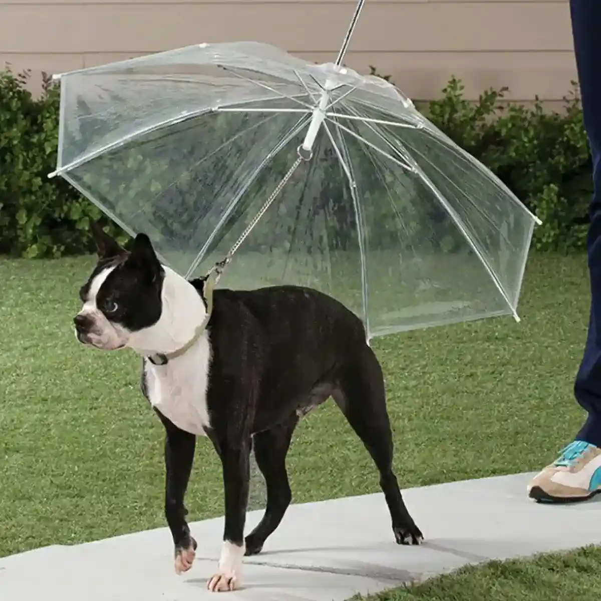 Pet Umbrella with Leash Attachment Keep Your Dog Dry in Style - Image 14