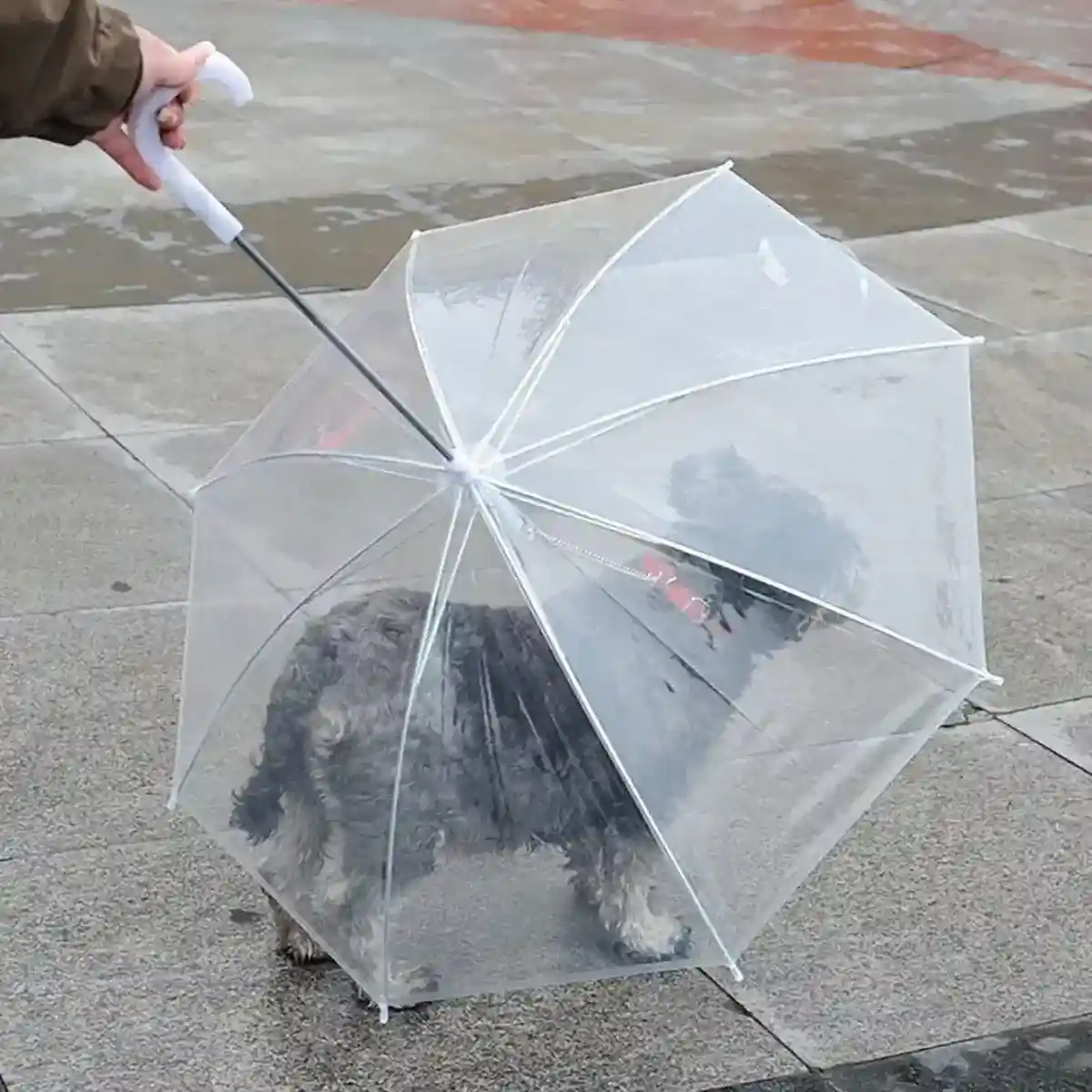 Pet Umbrella with Leash Attachment Keep Your Dog Dry in Style - Image 15