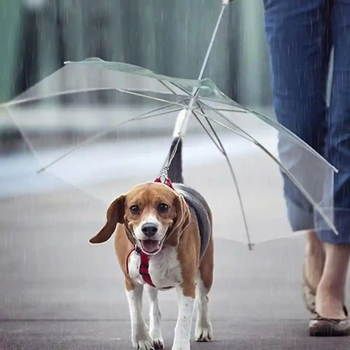 Pet Umbrella with Leash Attachment Keep Your Dog Dry in Style - Image 4