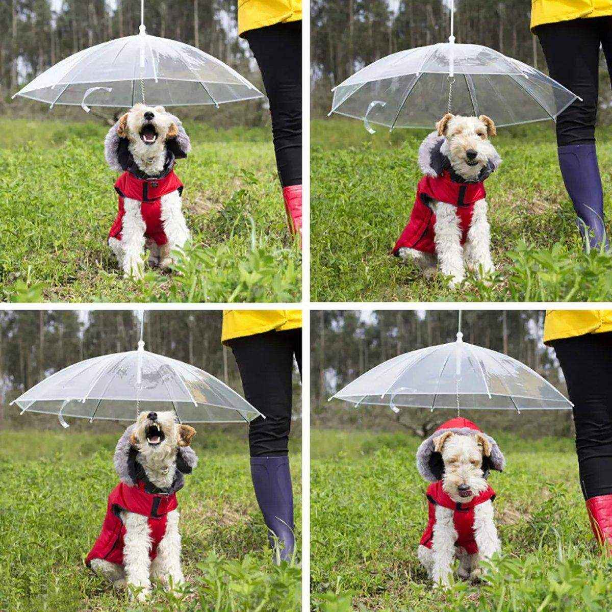 Pet Umbrella with Leash Attachment Keep Your Dog Dry in Style - Image 7