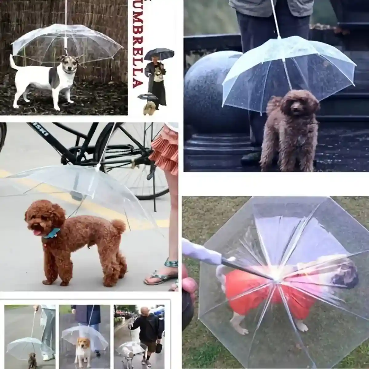 Pet Umbrella with Leash Attachment Keep Your Dog Dry in Style - Image 8
