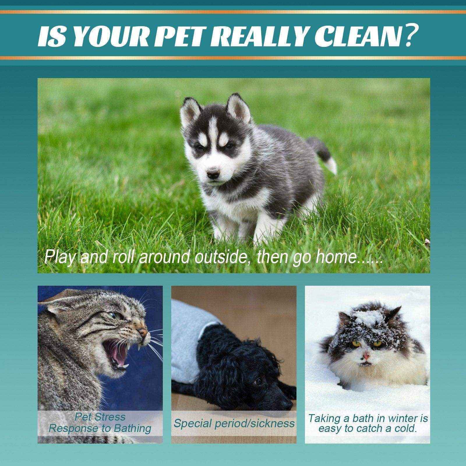 Pet Wash-free Cleaning Gloves - Image 4