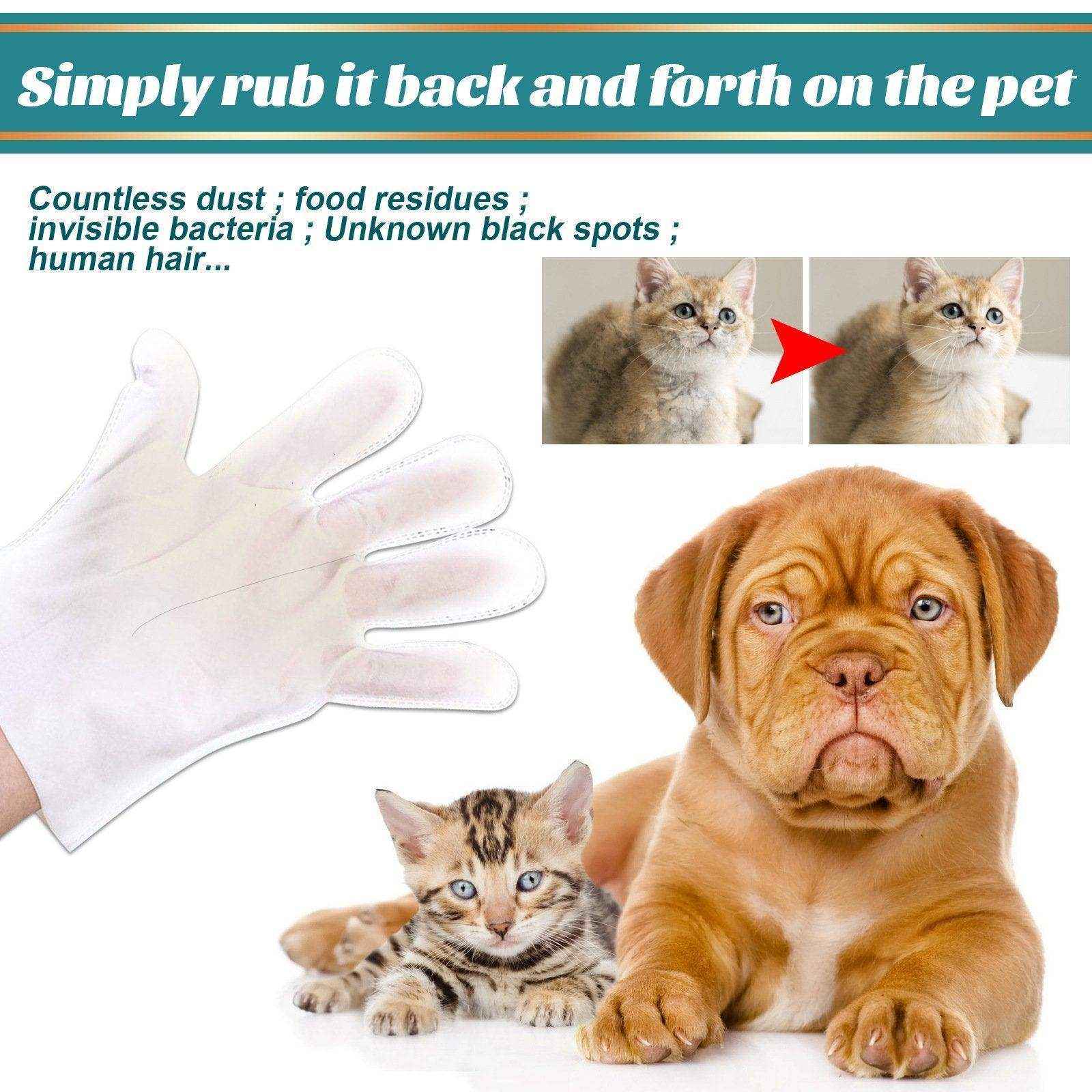 Pet Wash-free Cleaning Gloves - Image 5