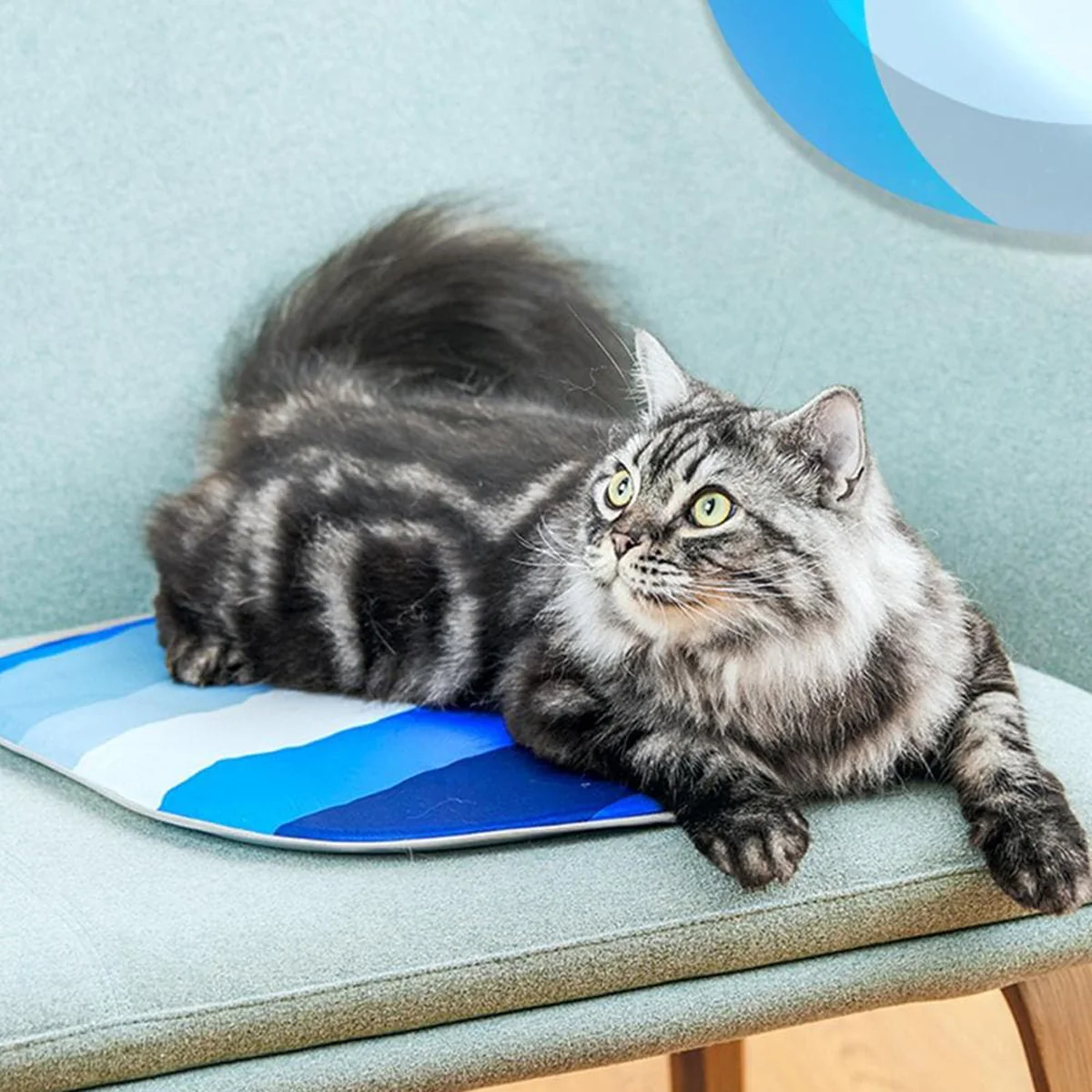 Petkit Pet Cooling Mat - Image 3