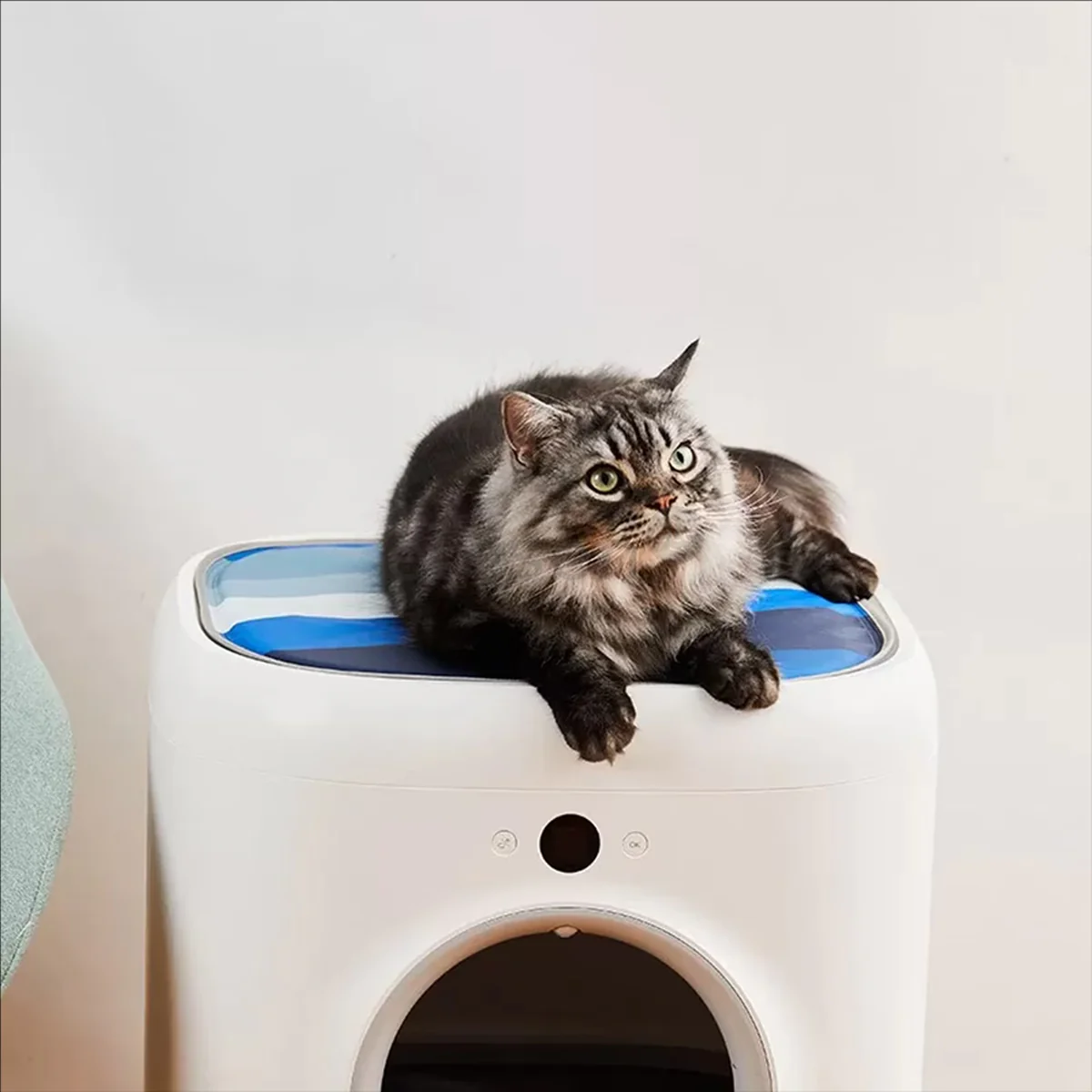Petkit Pet Cooling Mat - Image 9