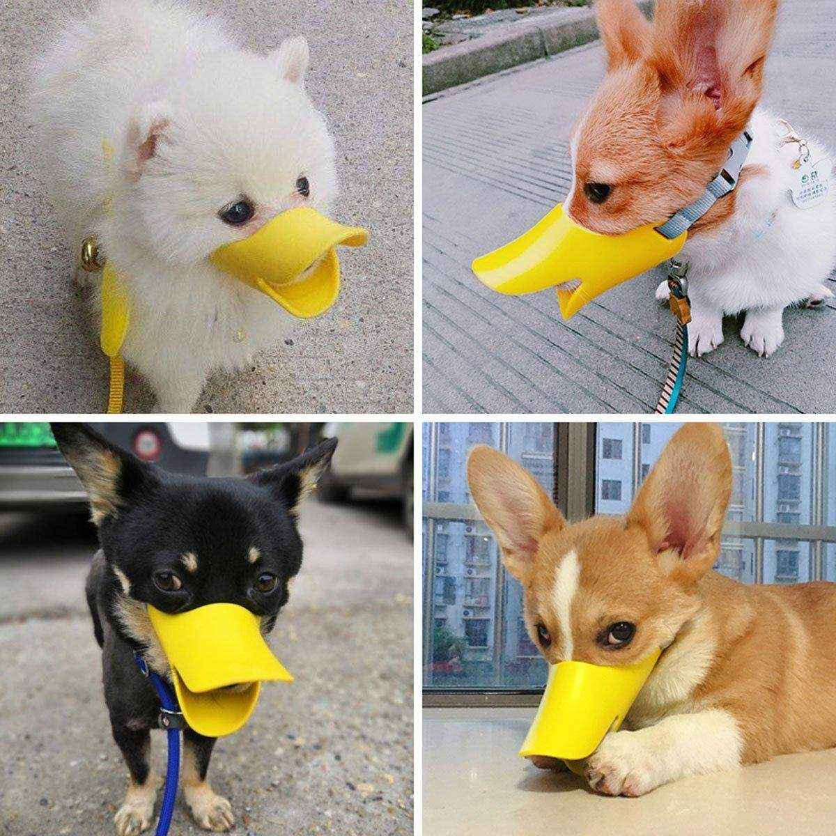 Silicone Dog Muzzle Anti-Bite and Bark Control - Image 11