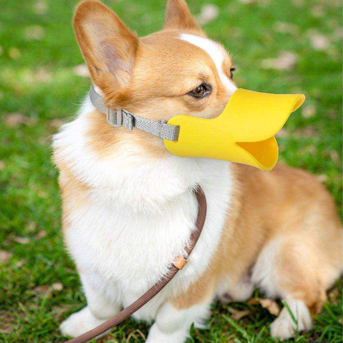 Silicone Dog Muzzle Anti-Bite and Bark Control - Image 6