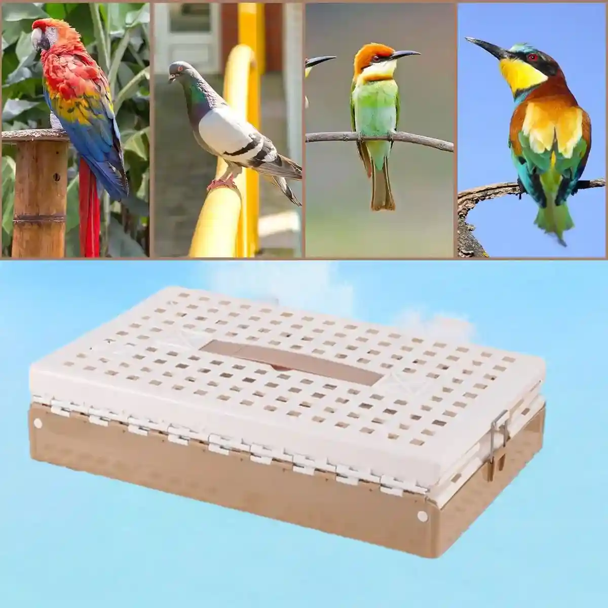 Foldable Pigeon Transport Cage with Dual Doors and Handle