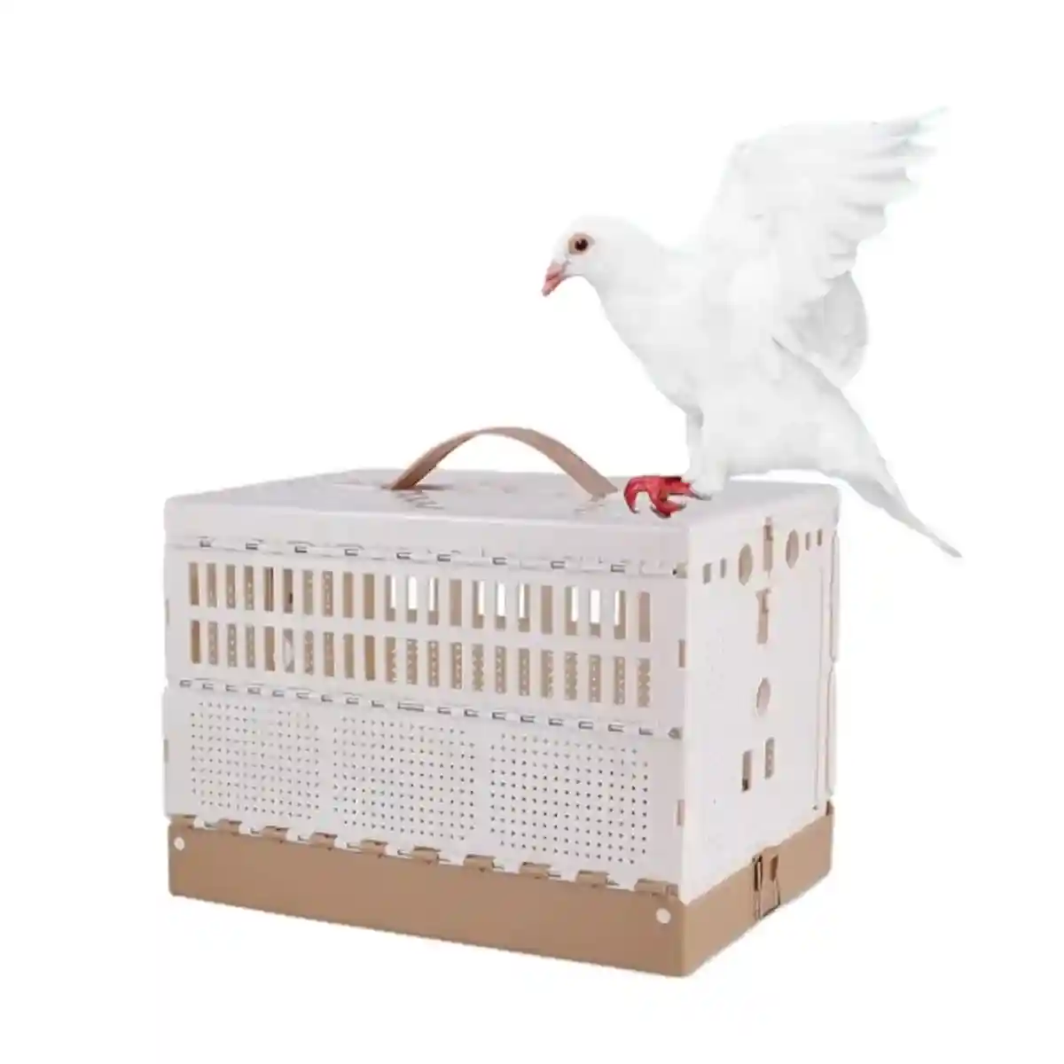 Foldable Pigeon Transport Cage with Dual Doors and Handle - Image 10