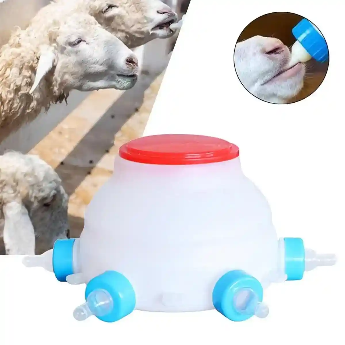 Piglet Milk Feeder 2.5L Large Capacity with 6 Soft Silicone Teats - Image 12