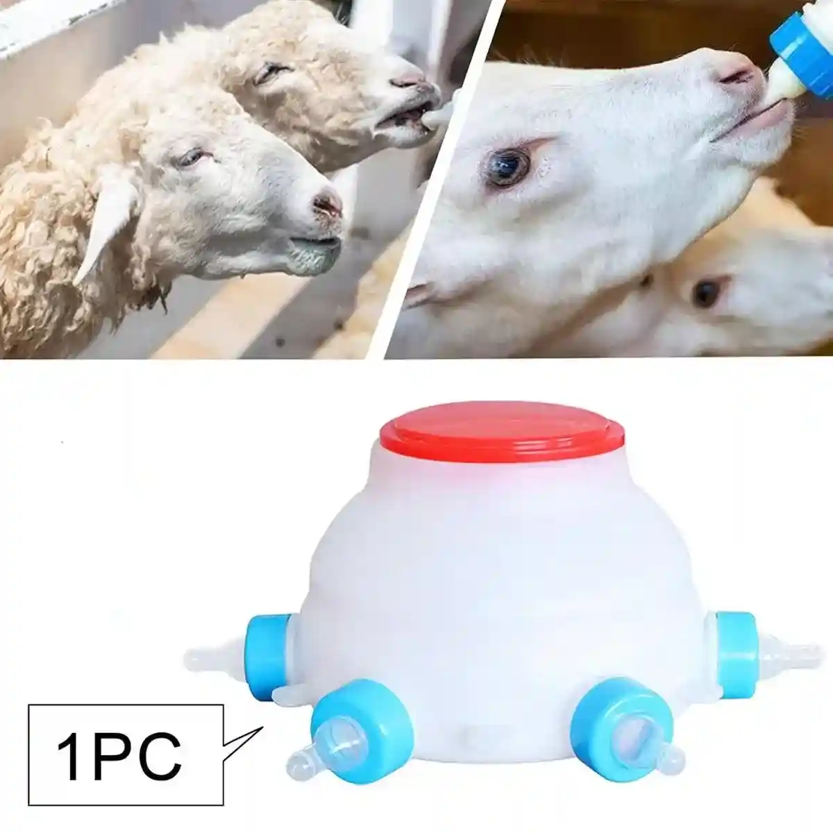 Piglet Milk Feeder 2.5L Large Capacity with 6 Soft Silicone Teats - Image 5