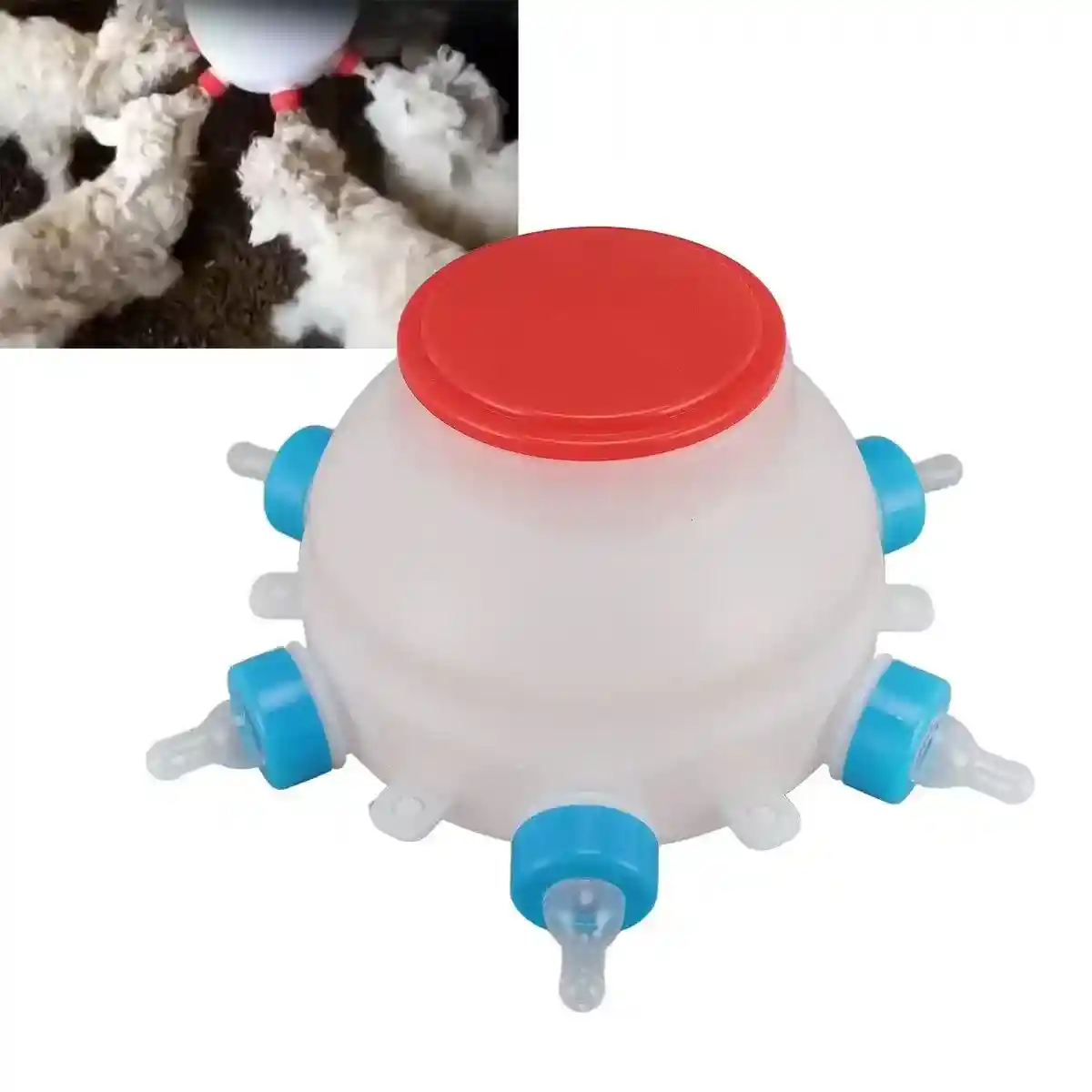 Piglet Milk Feeder 2.5L Large Capacity with 6 Soft Silicone Teats - Image 9