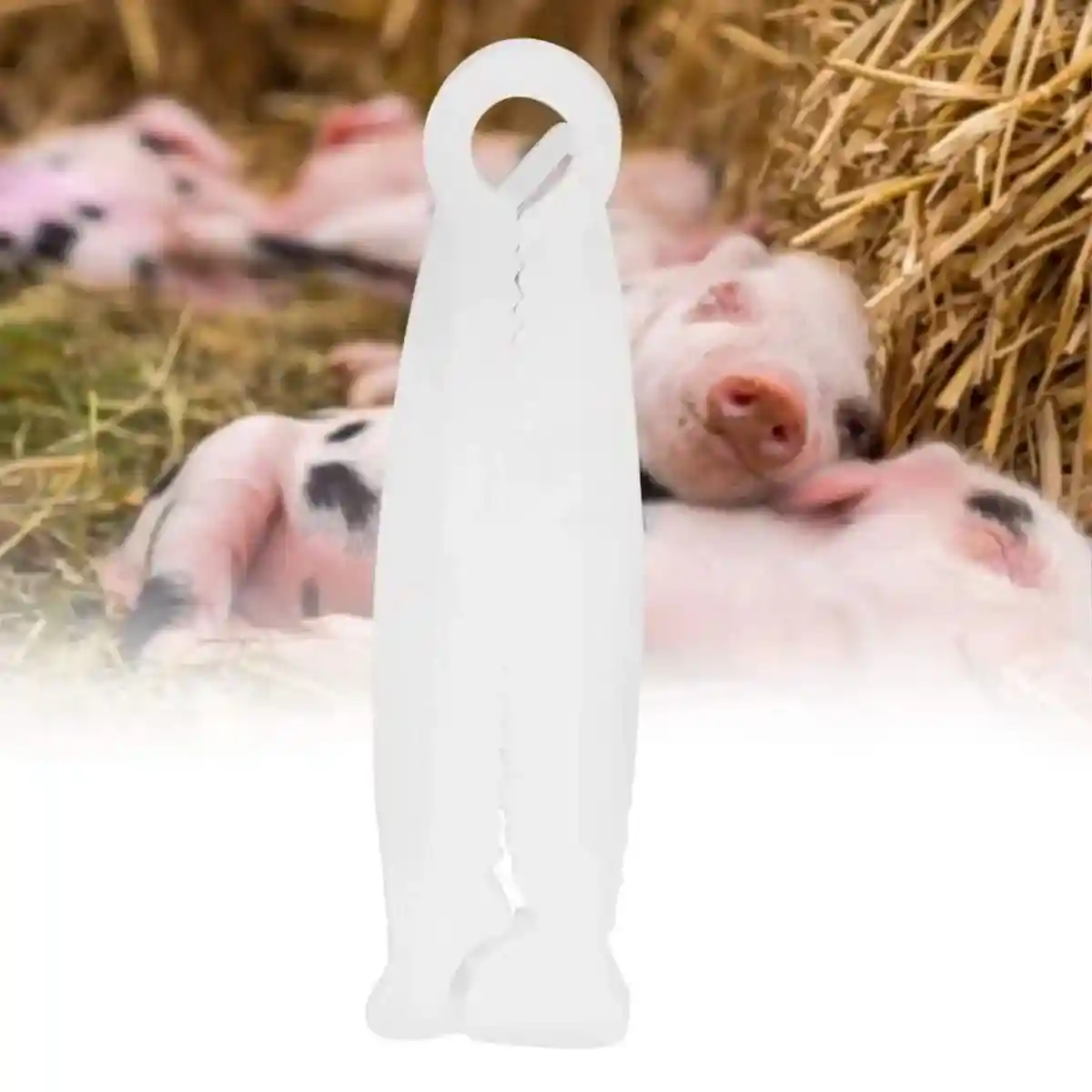 100PCS Piglet Care Umbilical Cord Clamps for Newborn Livestock - Image 10