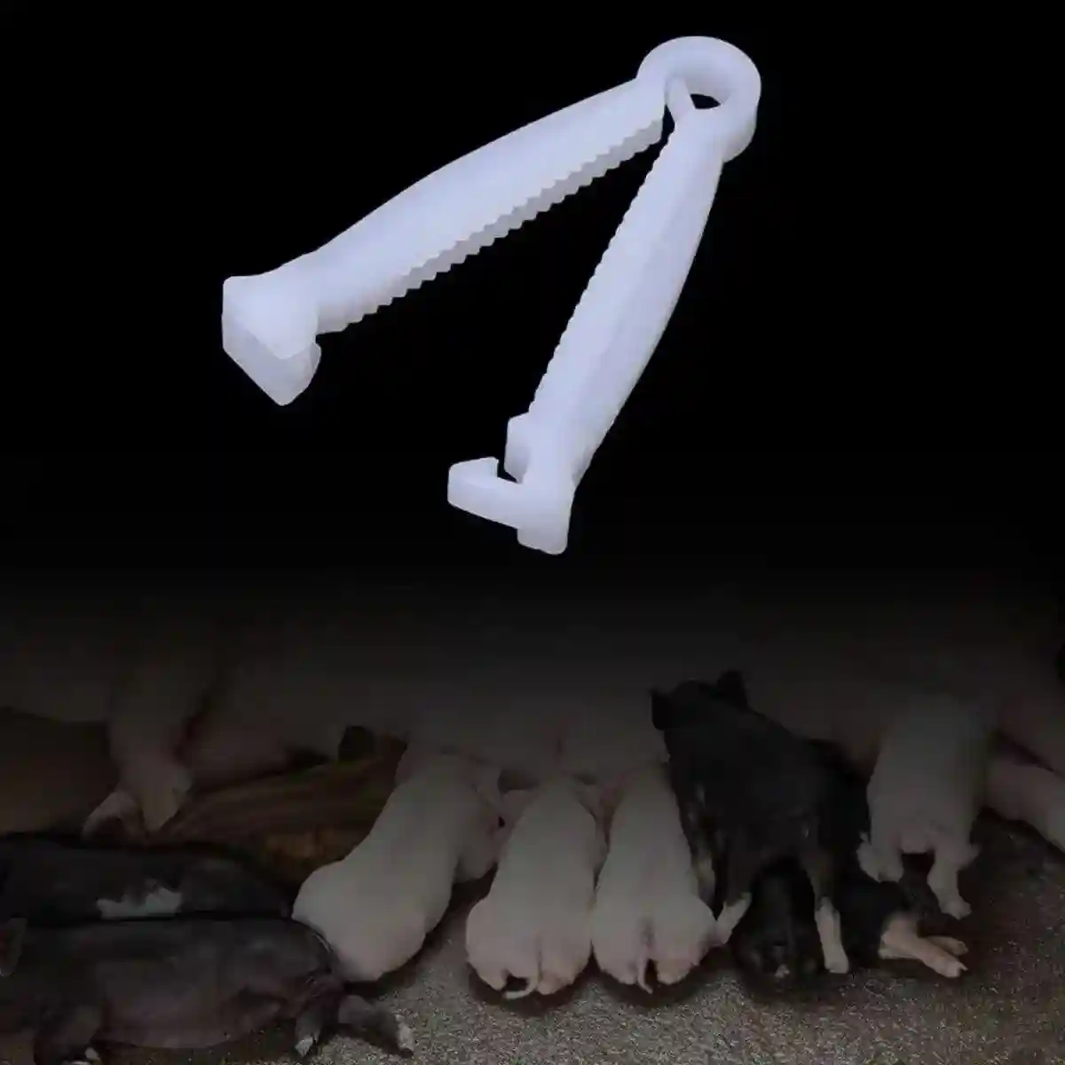 100PCS Piglet Care Umbilical Cord Clamps for Newborn Livestock - Image 19