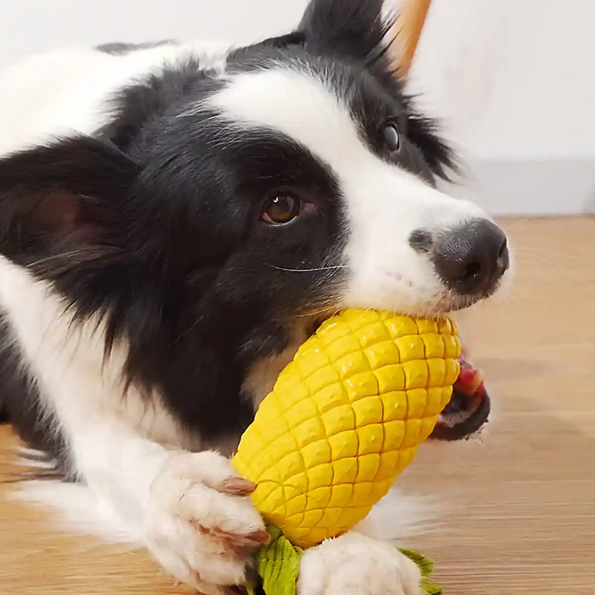 Durable Pineapple Dog Chew Toy Squeaky & Teeth Cleaning Toy - Image 3