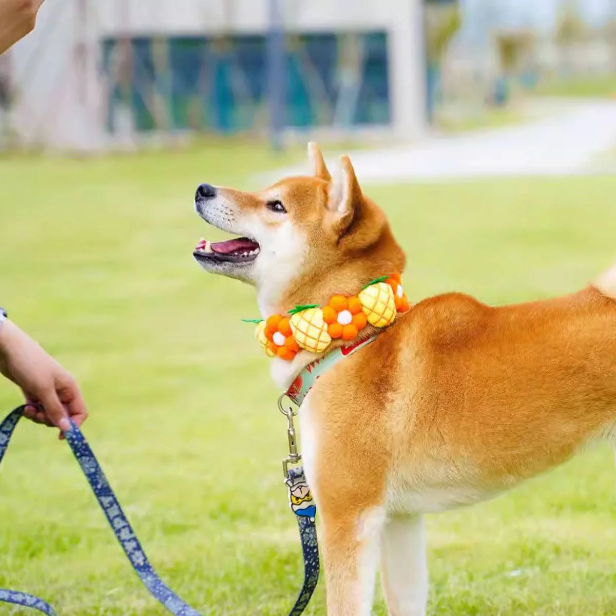 Pineapple Dog Collar Adjustable Floral Necklace - Image 7