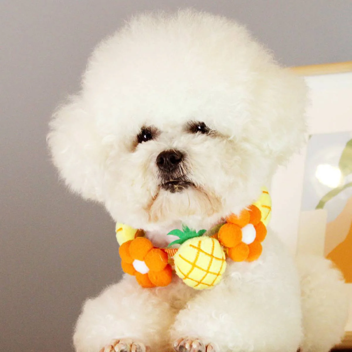 Pineapple Dog Collar Adjustable Floral Necklace - Image 8