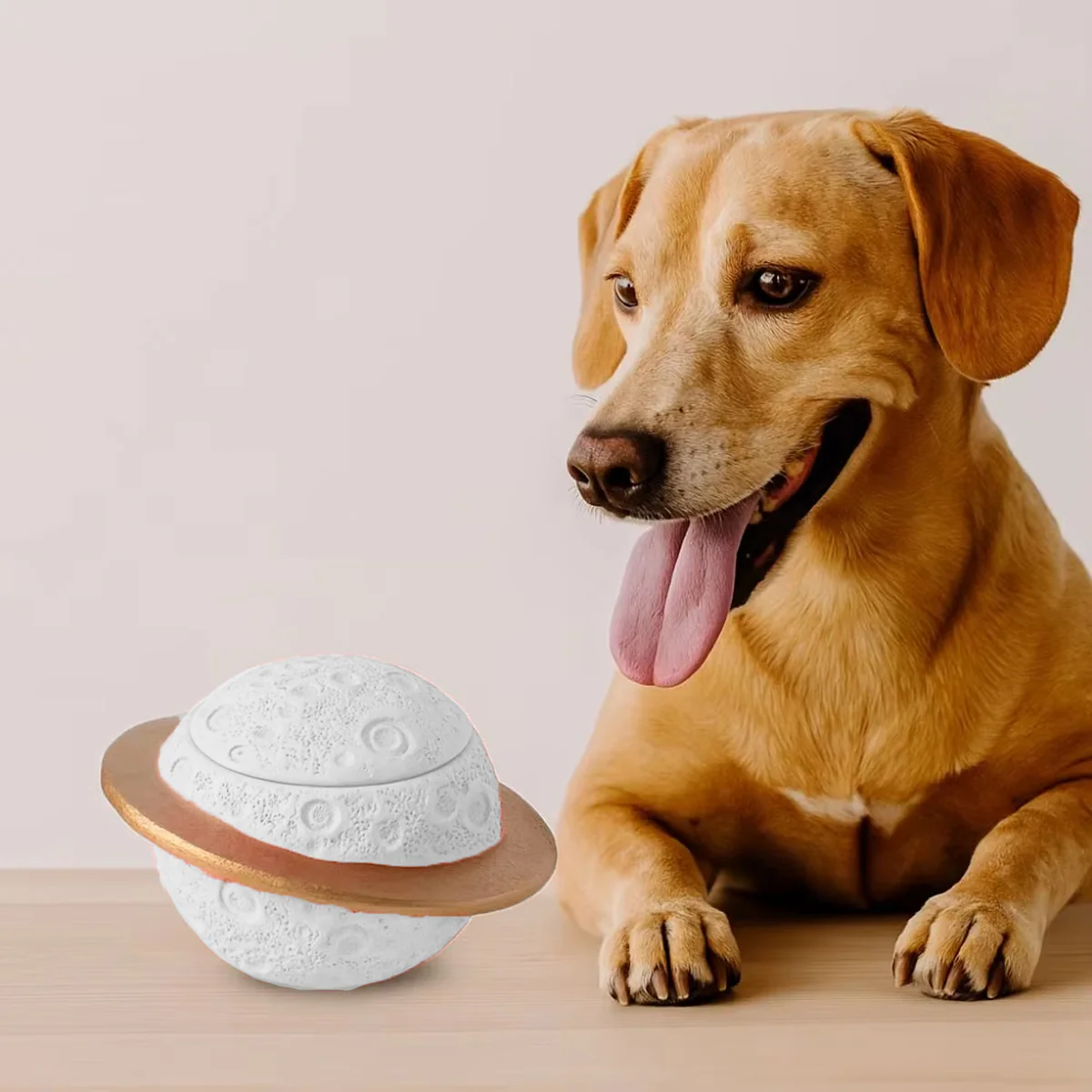 Planet Style Pet Cremation Urn for Dogs and Cats - Image 9
