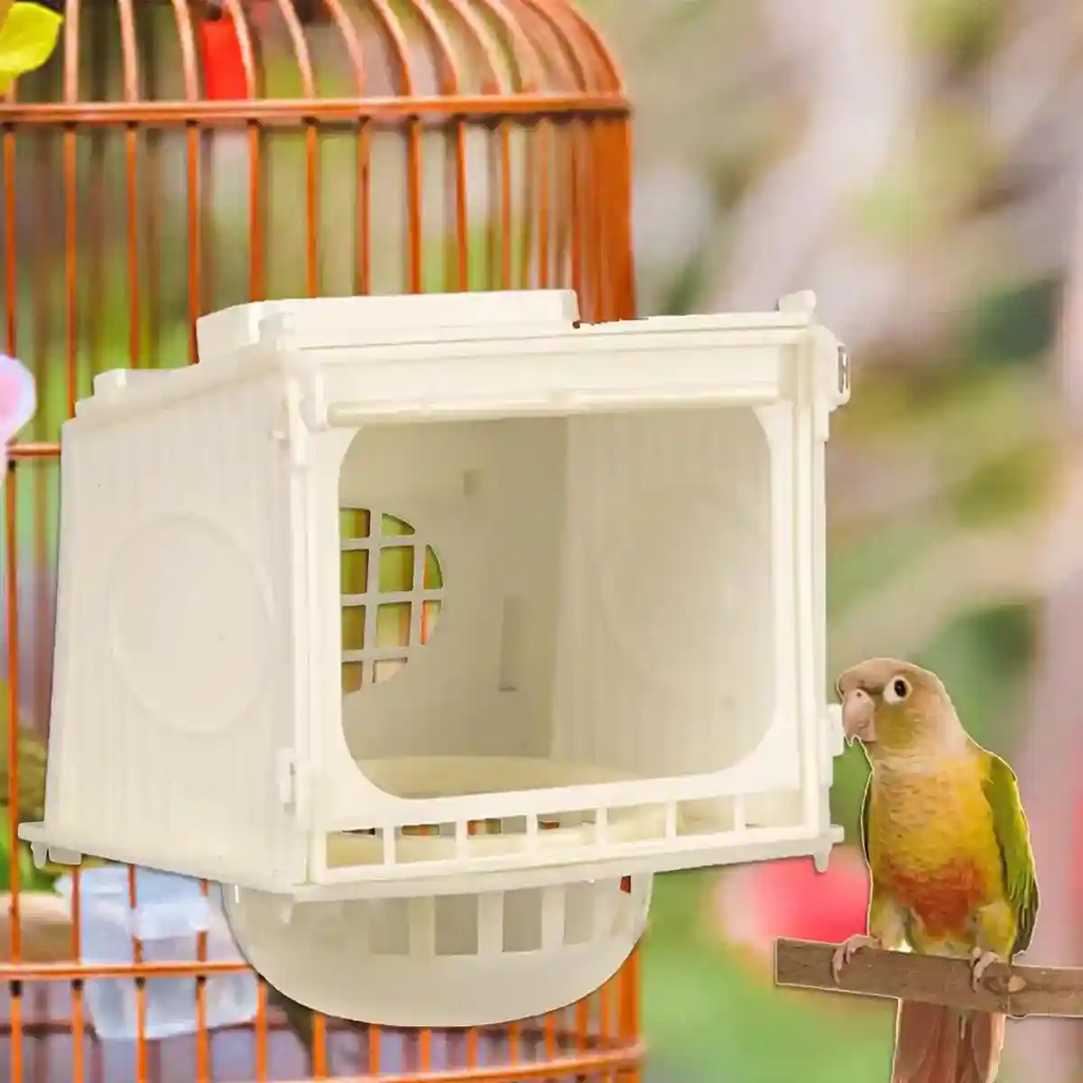 Plastic Bird Nesting Box with Observation Window - Image 3