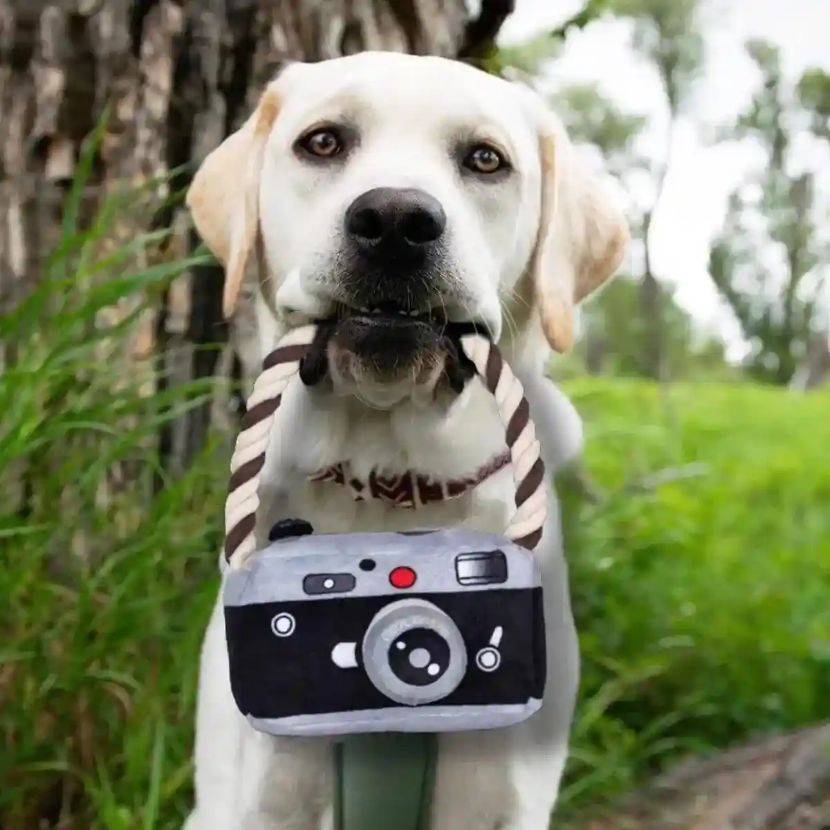 Fun Camera-Shaped Plush Dog Toy with Rope Handle for Interactive Play - Image 9