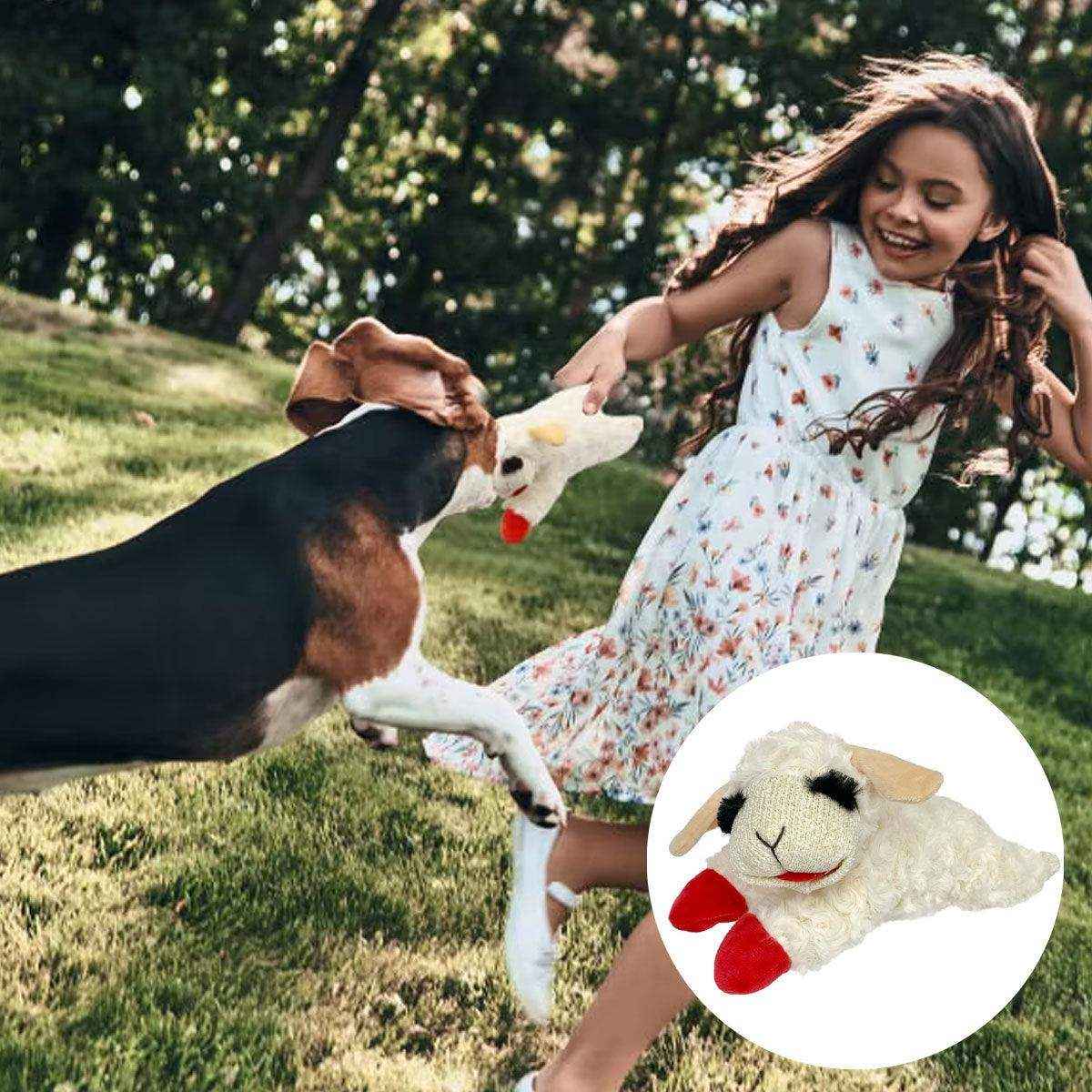 Soft Plush Dog Toy with Squeaker Chew & Interactive Play - Image 3
