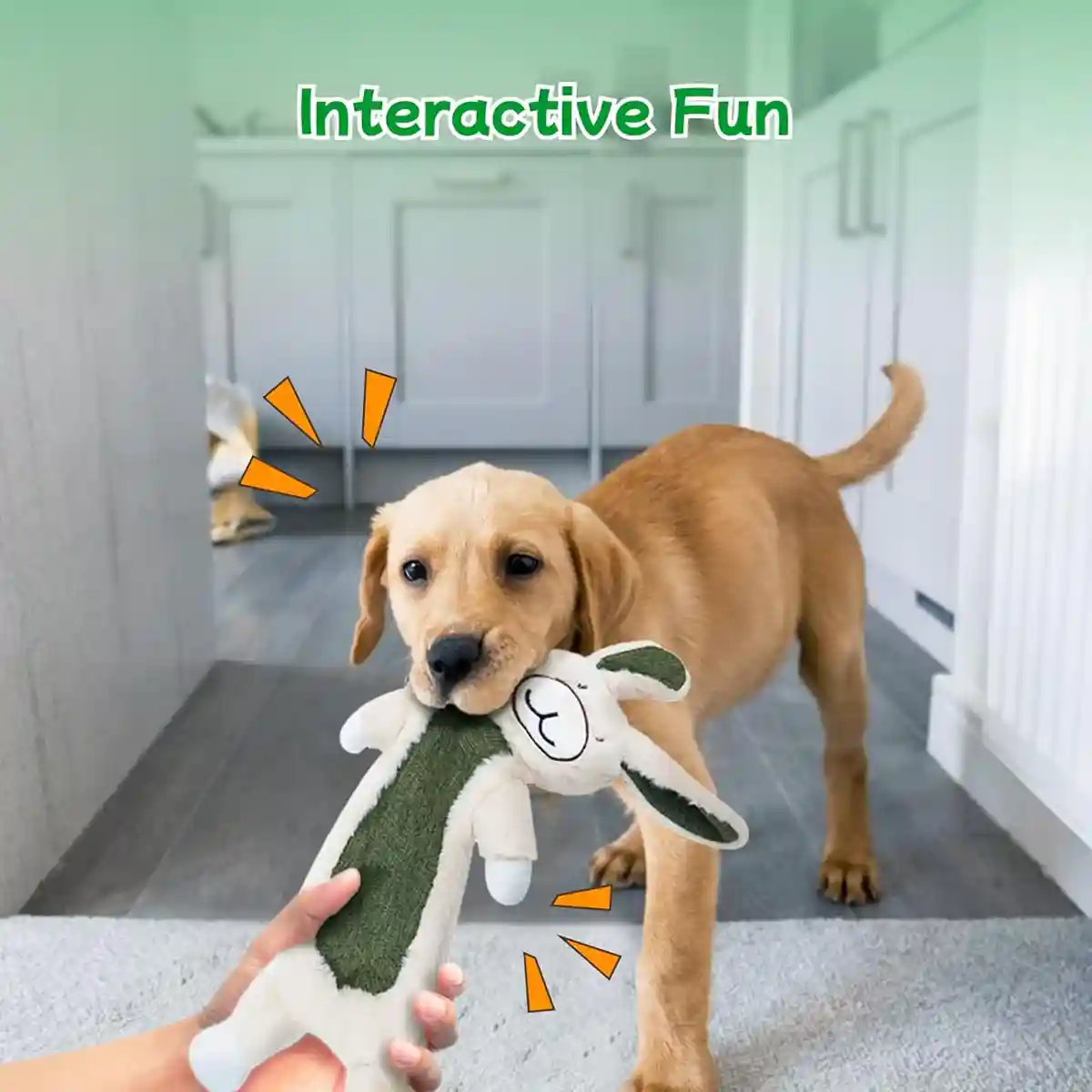 Plush No Stuffing Squeaky Dog Toy with Crinkle Paper - Image 8
