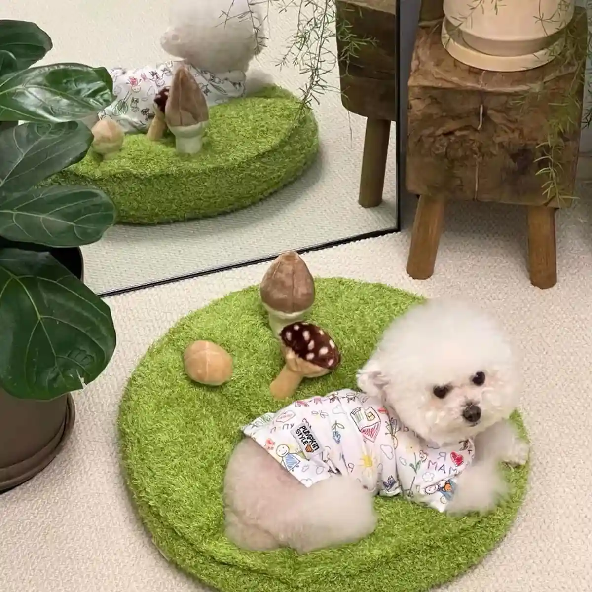 Mushroom Plush Dog Bed with Chew Toys for Small Cats and Dogs - Image 10