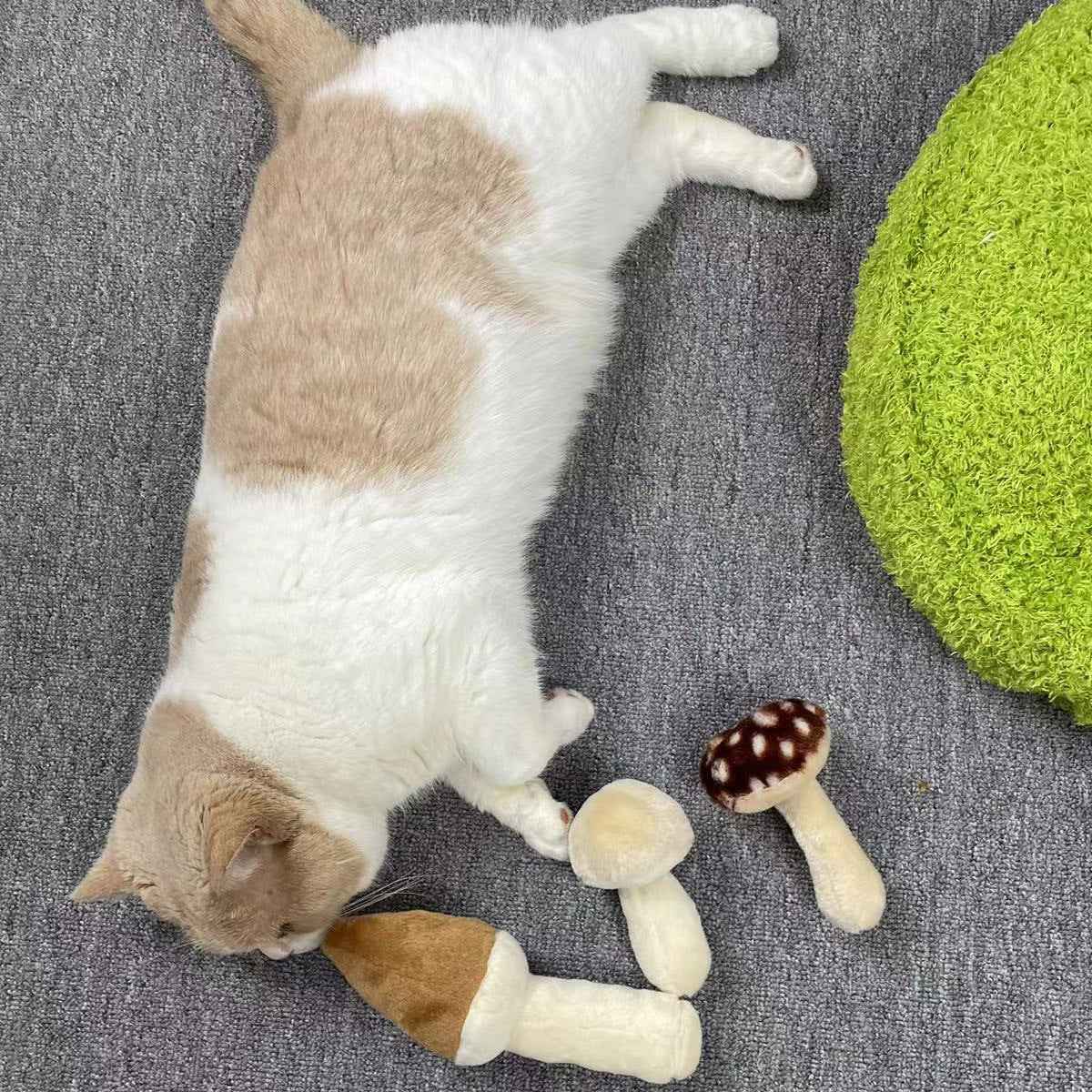 Mushroom Plush Dog Bed with Chew Toys for Small Cats and Dogs - Image 11