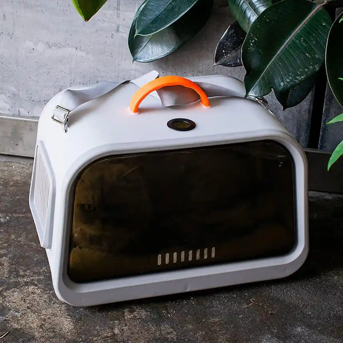 Portable Cat Carrier with Thermometer and Sherpa Pad - Image 12