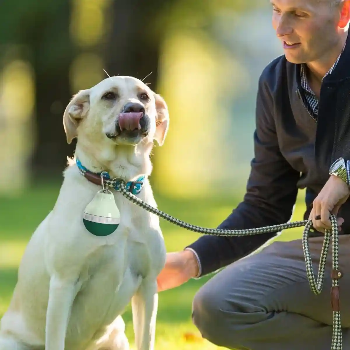 Portable Dog Water Bottle 200ml - Image 7