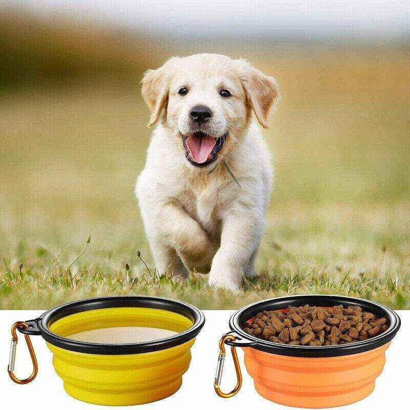 Portable Foldable Pet Bowl 6 Colours 350ml