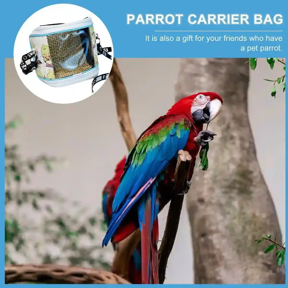 Portable Parrot Travel Carrier Transparent & Breathable Bird Bag - Image 9