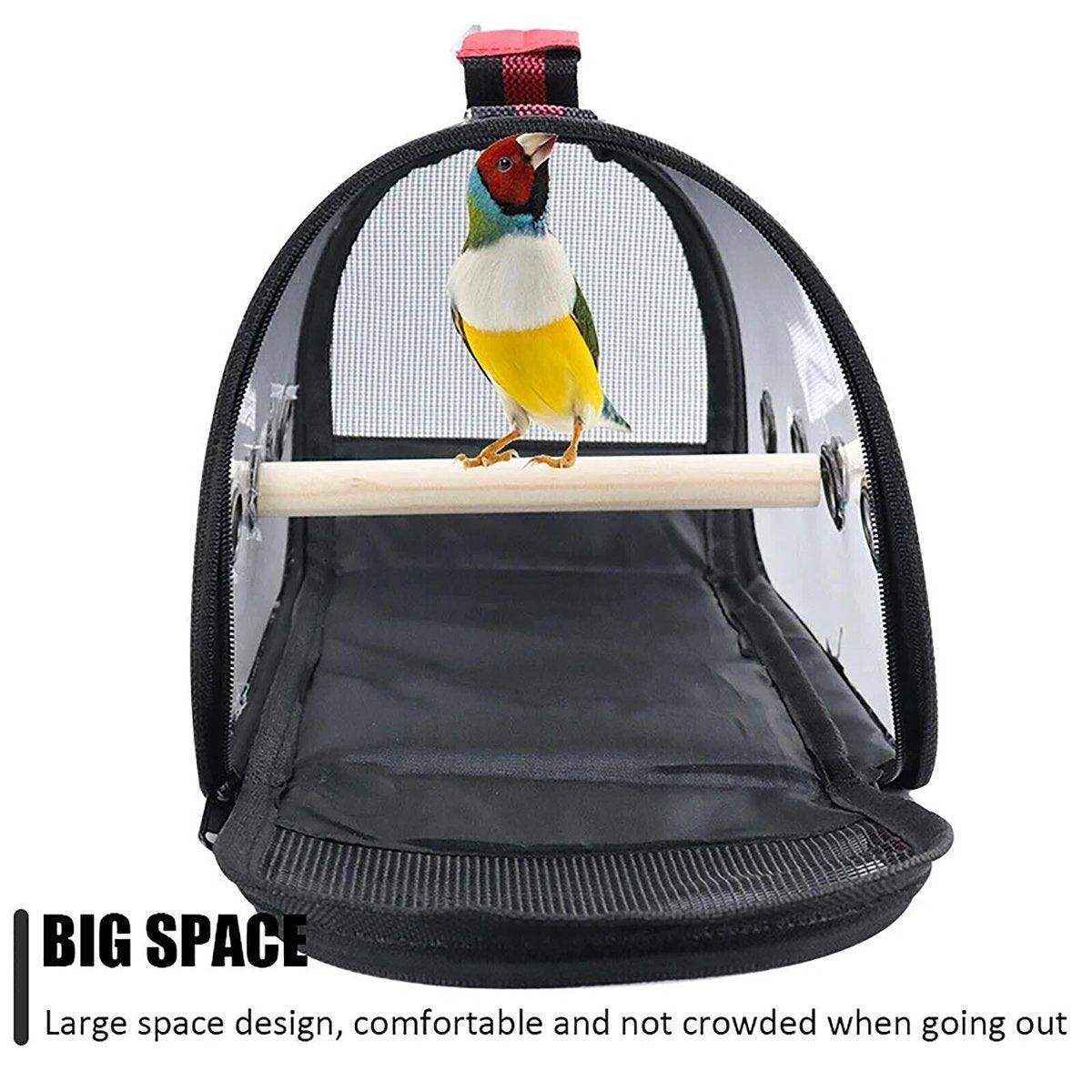 Portable Pet Bird Parrot Carrier Transparent Breathable Travel Cage - Image 6
