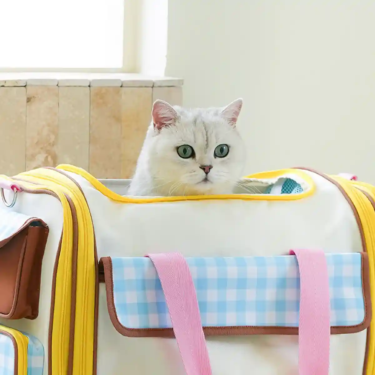 Portable Pet Travel Bag With Expandable Design - Image 17