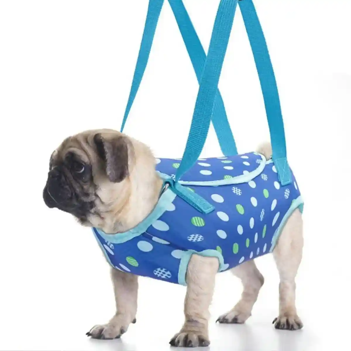 Portable Pet Travel Carrier Backpack for Small Dogs and Cats with Breathable Mesh - Image 2