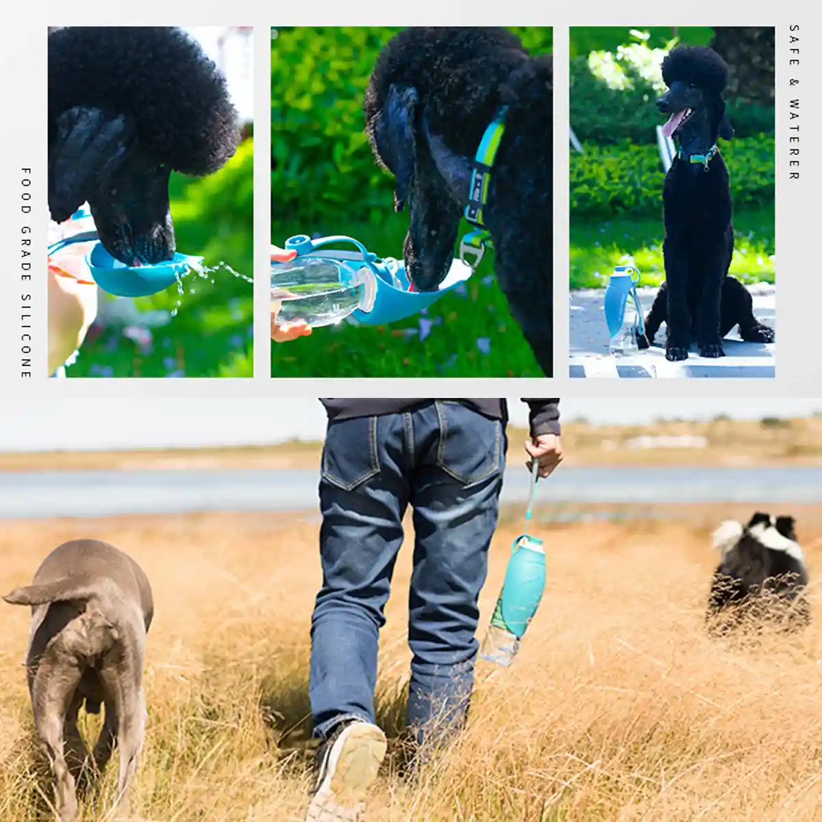 Portable Dog Water Bottle Foldable Travel Dog & Cat Drinking Bottle - Image 3