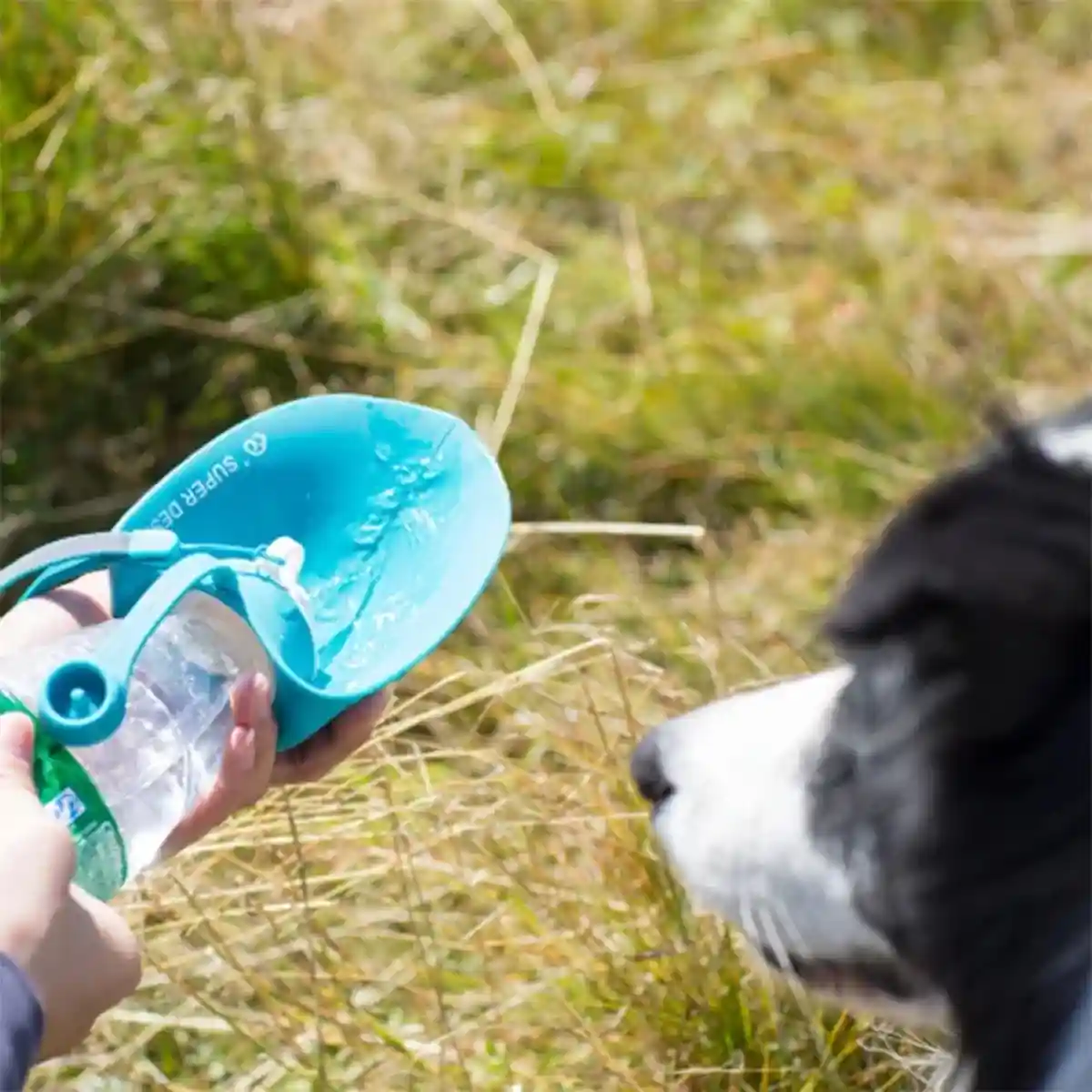 Portable Dog Water Bottle Foldable Travel Dog & Cat Drinking Bottle - Image 9