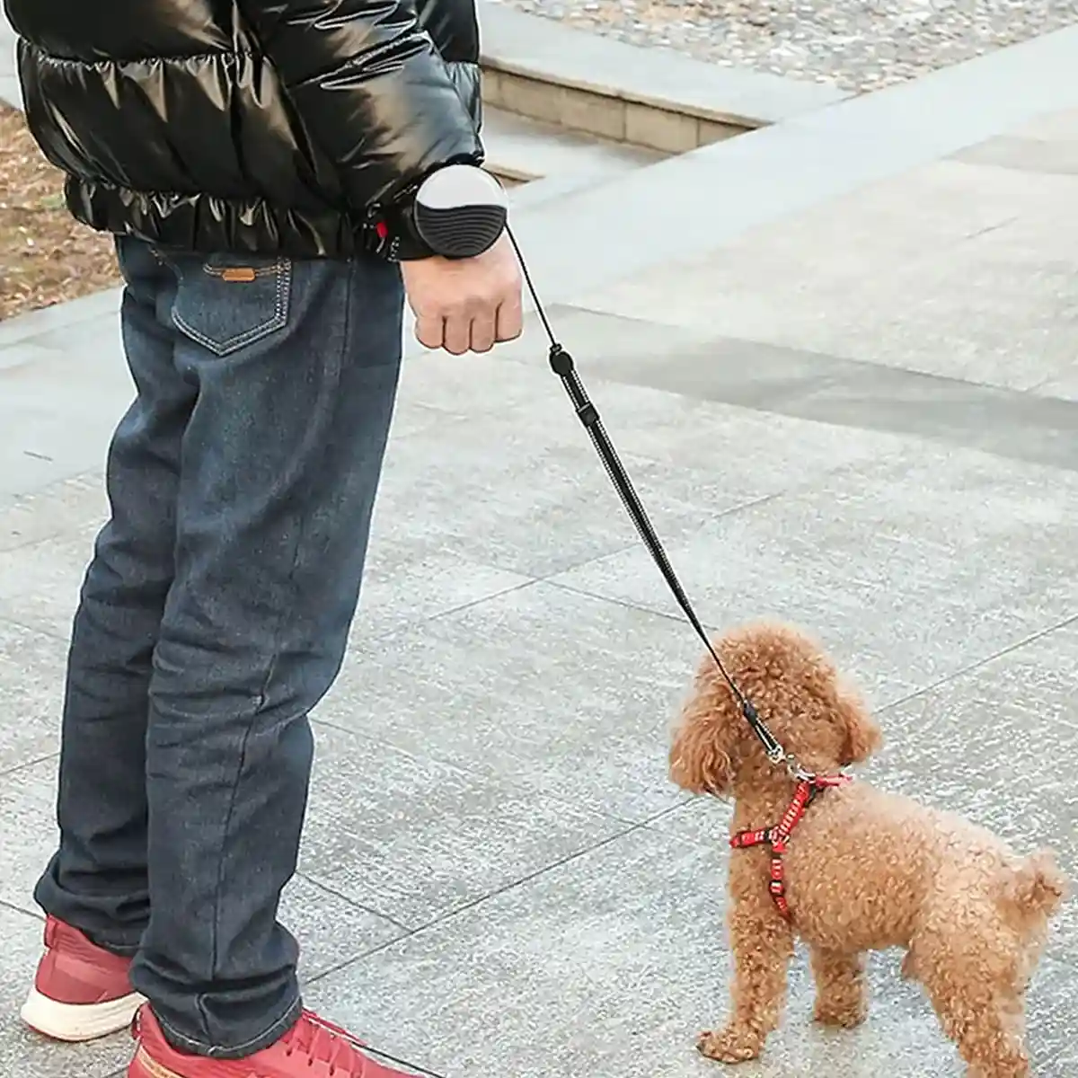 Portable Retractable Dog Leash - Image 12