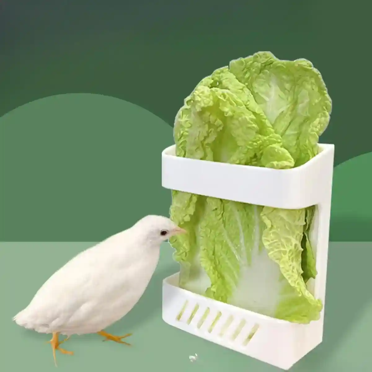 Wall-Mounted Poultry Feeder for Chickens & Small Animals Clean Feeding Solution - Image 4