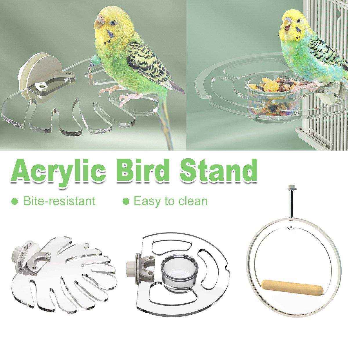 Premium Acrylic Bird Stand Parrot Stand Bird Toys - Image 2