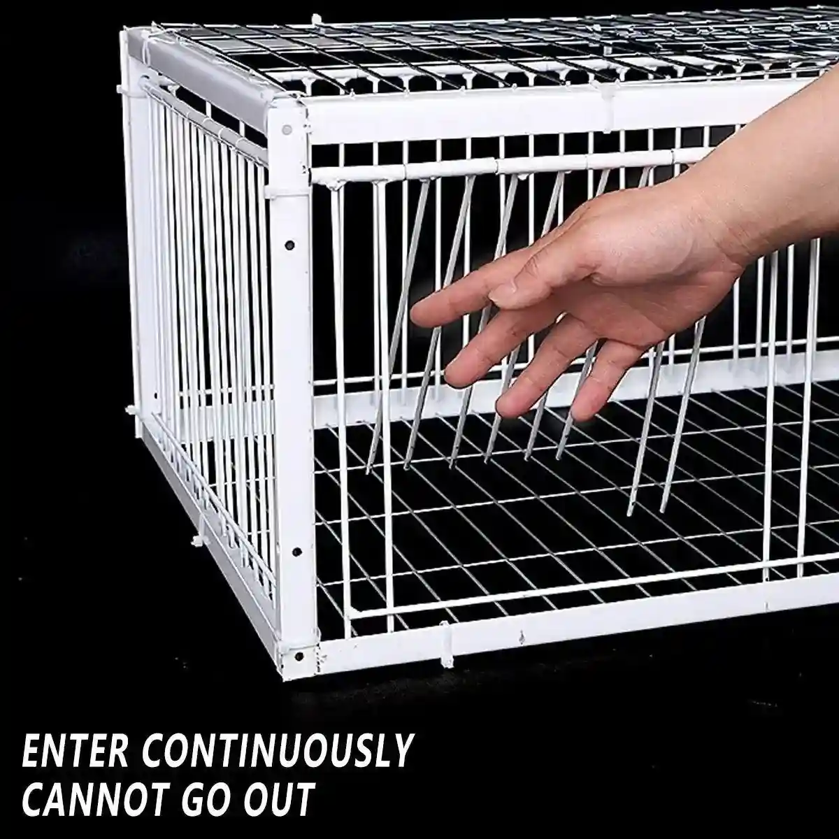 Premium Pigeon Cage with Secure Encrypted Spacing - Image 11