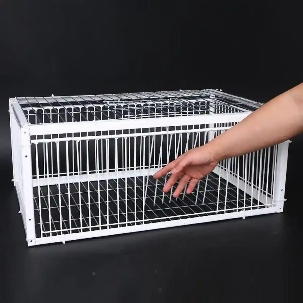 Premium Pigeon Cage with Secure Encrypted Spacing - Image 15