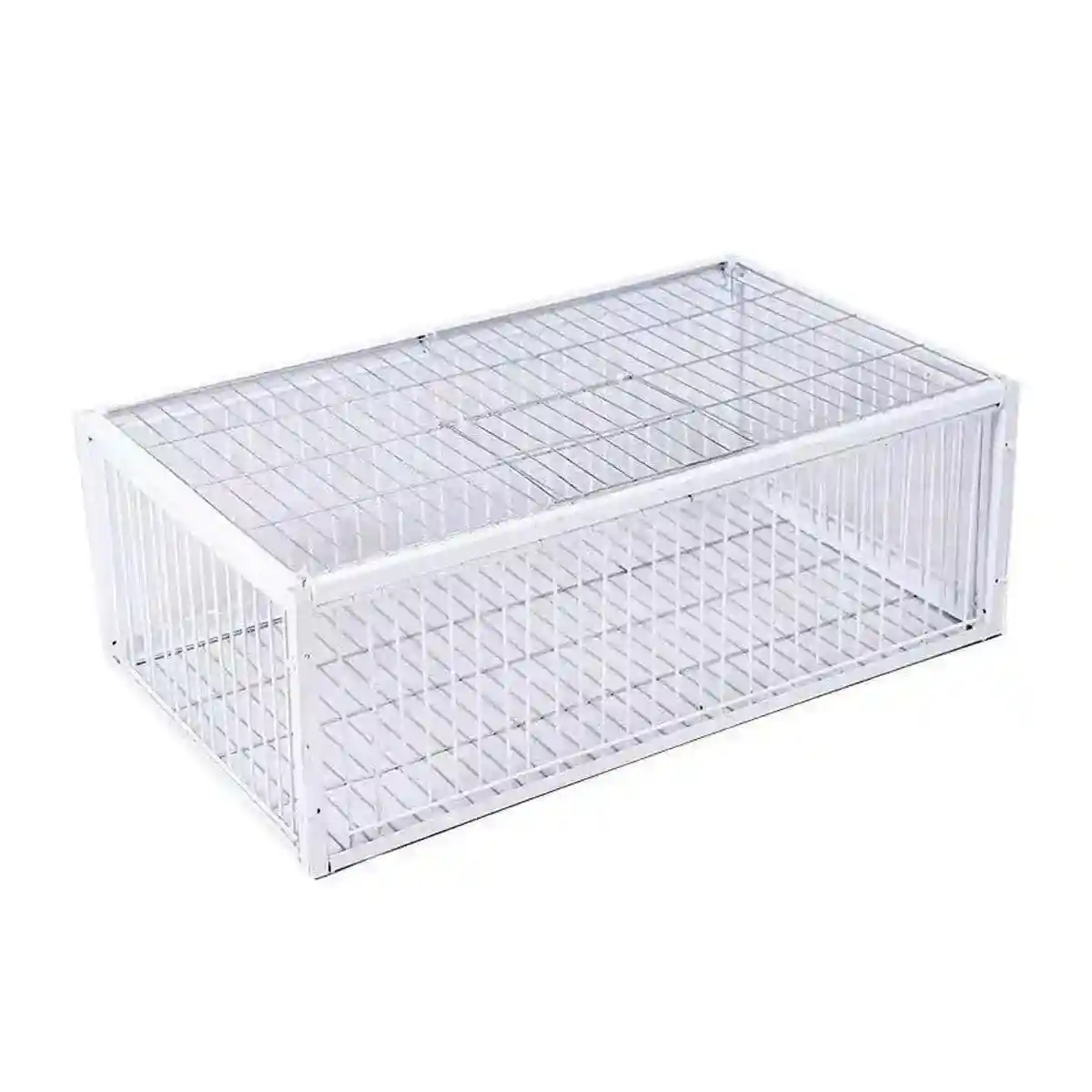 Premium Pigeon Cage with Secure Encrypted Spacing - Image 6