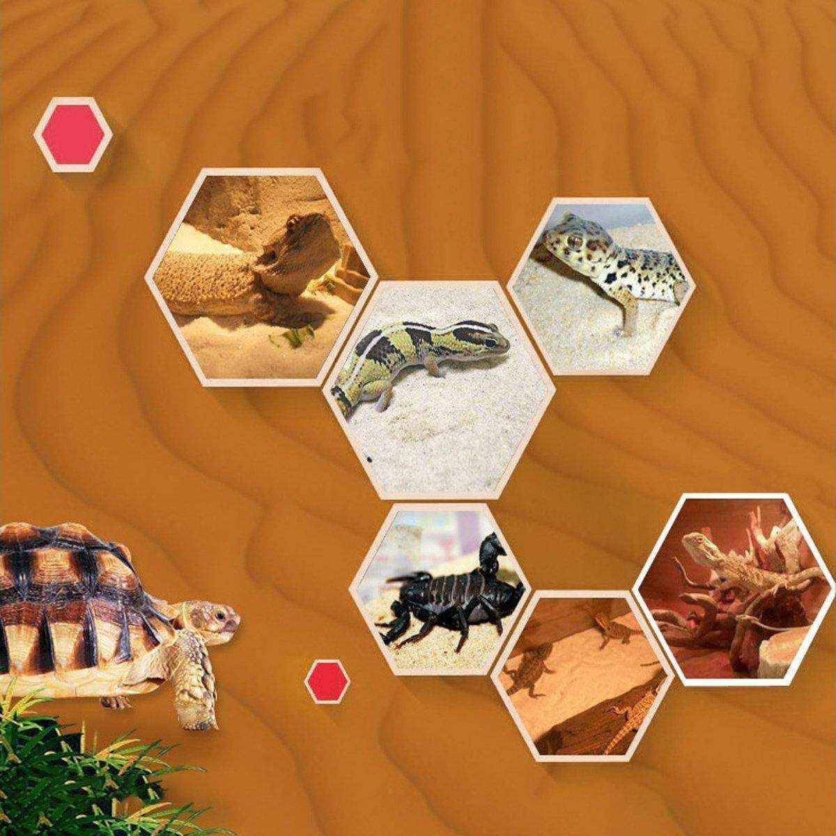 Sand Climbing Tortoise Snake Lizard Spider Pet Sand Multi-color Decoration - Image 12