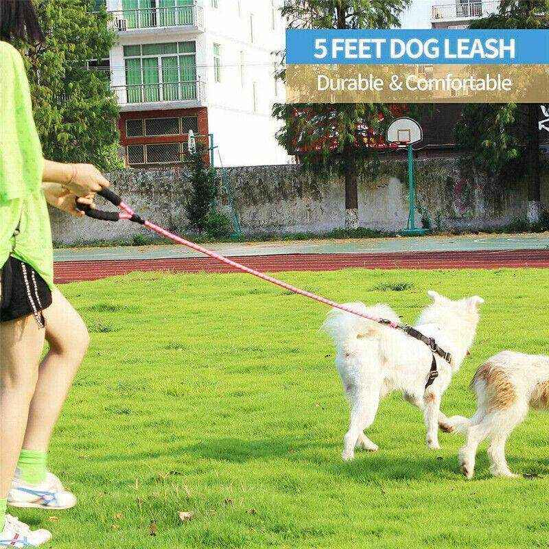 Heavy-Duty Nylon Training Dog Leash 3 Colours 1.5m - Image 10