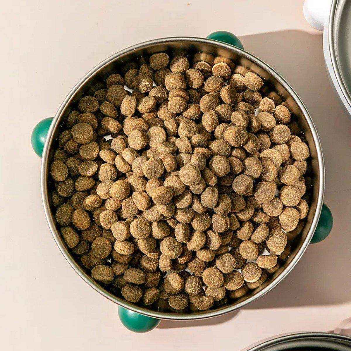 Premium Stainless Steel Pet Bowl - Image 10