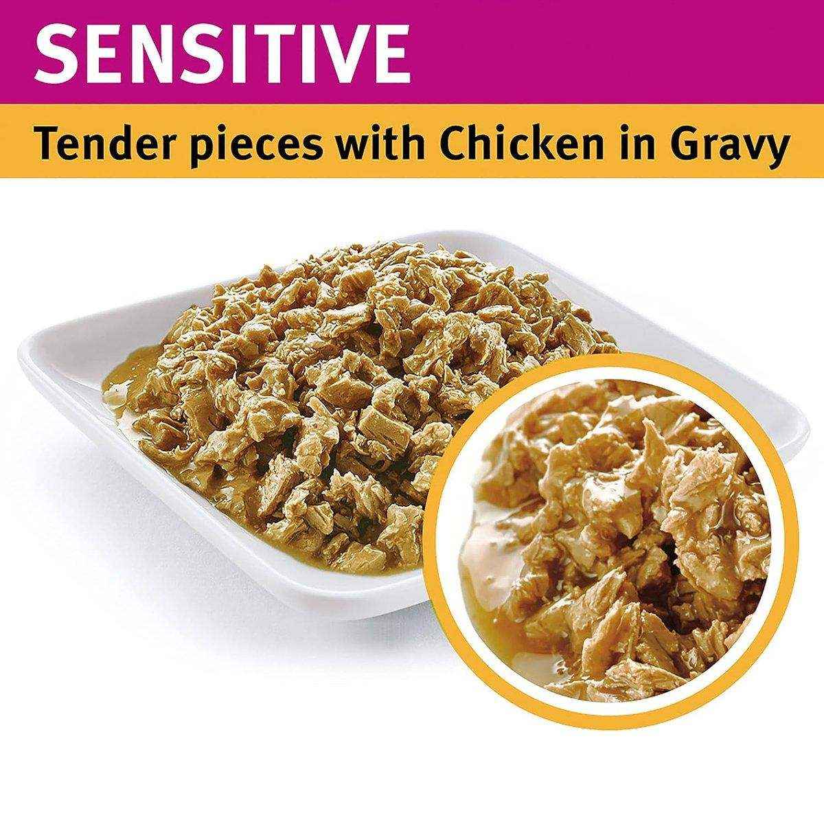 Pro Plan Adult Sensitive Wet Cat Food Chicken in Gravy 85g*12 - Image 3