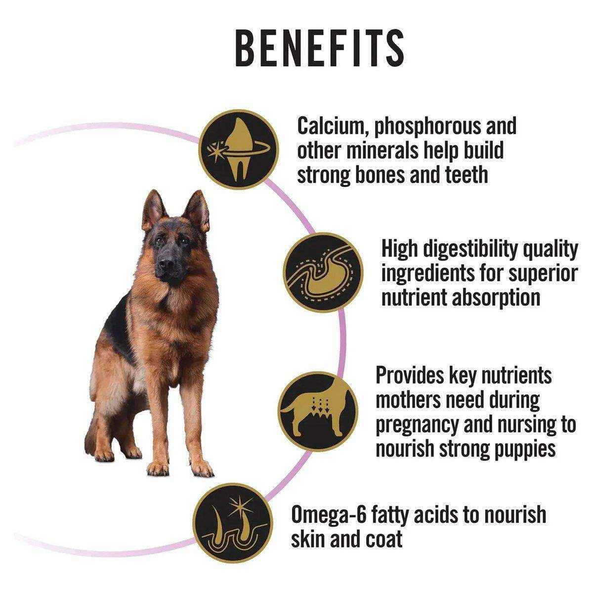 Pro Plan Performance Medium Breed Adult Dry Dog Food 20kg Chicken - Image 6