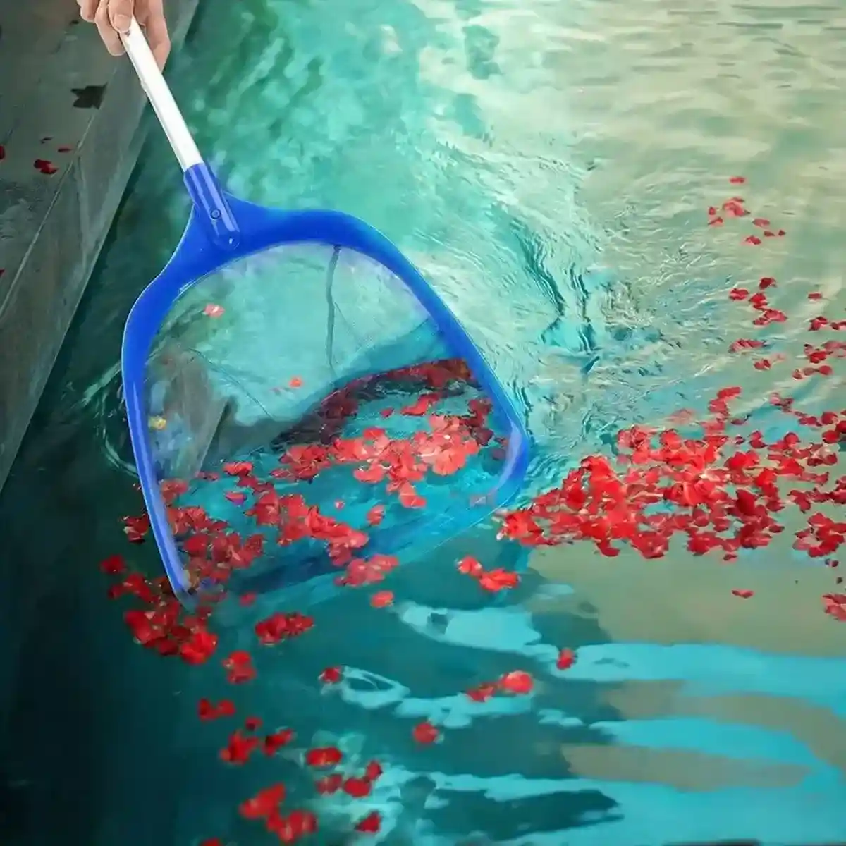 Professional Swimming Pool Cleaning Net - Adjustable Skimming Net for Pools | Petfection Corner - Image 5